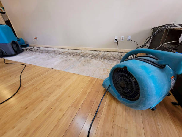 Professional Burst Pipe Water Damage technician working in West Springfield, MA